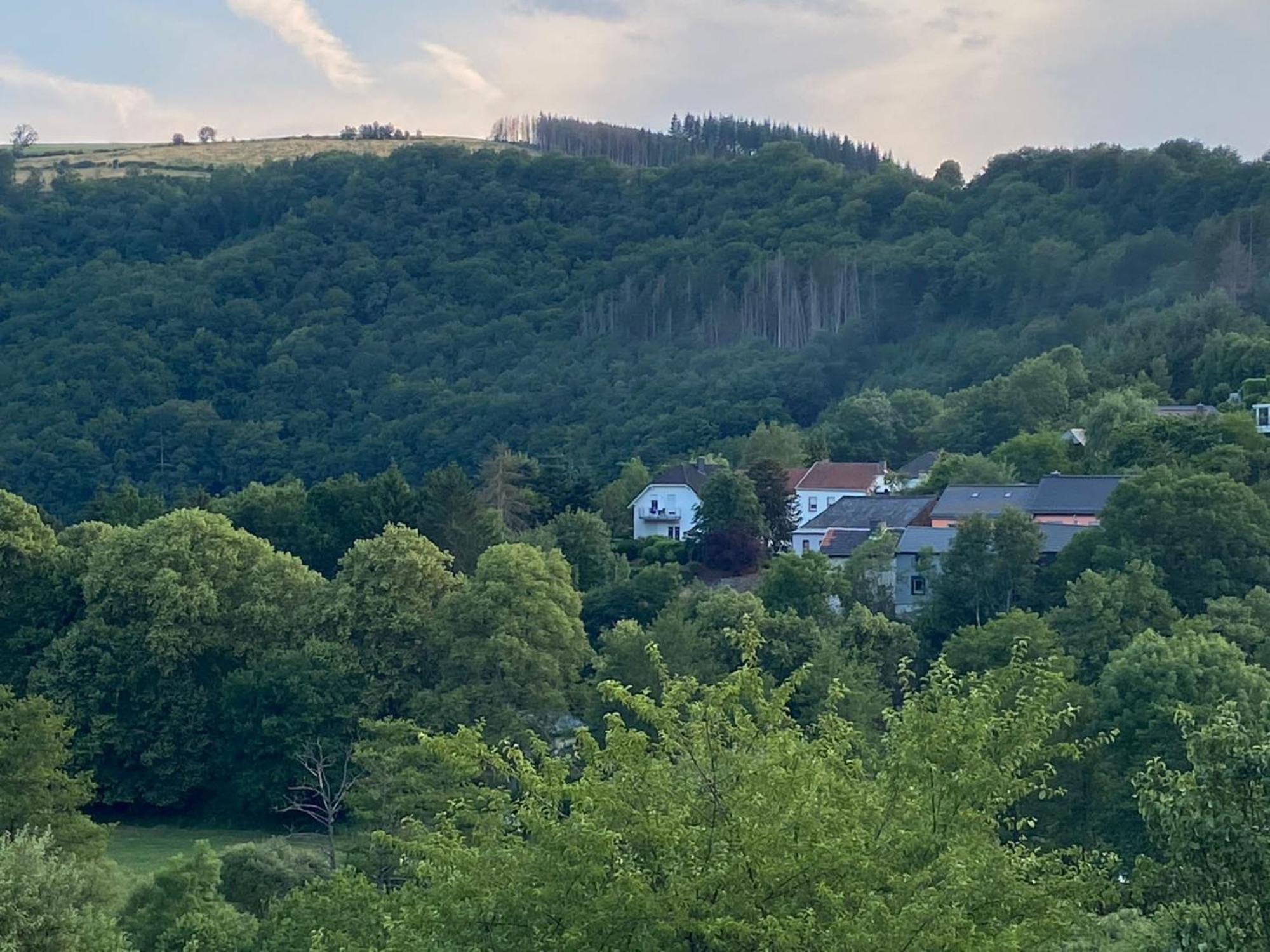 Sabine'S Gaestehaus Übereisenbach Zewnętrze zdjęcie
